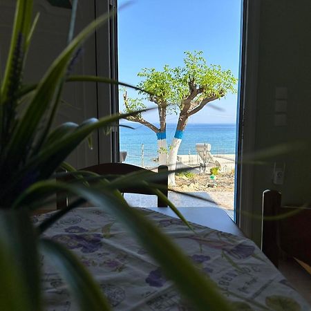 Galini Stegna Beach Archangelos  Esterno foto
